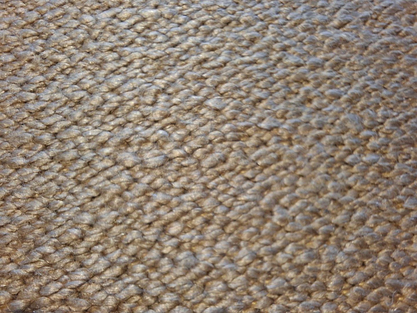 1000053234