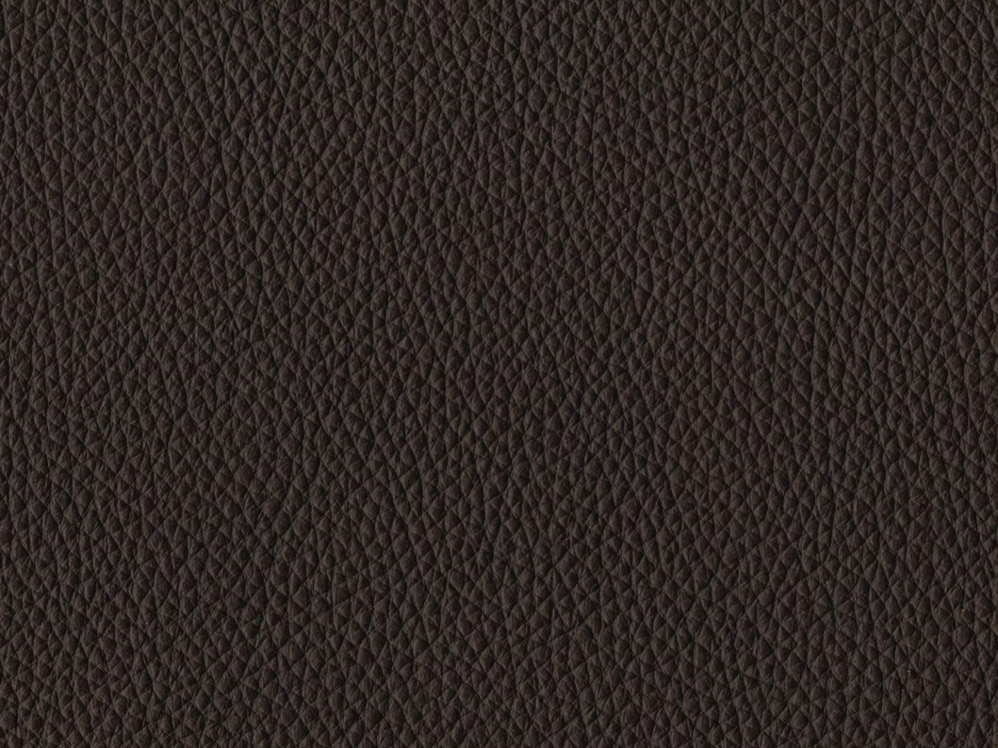 WK_Leder_1365_Rodeo_Soft_deep_chocolate_799562da12
