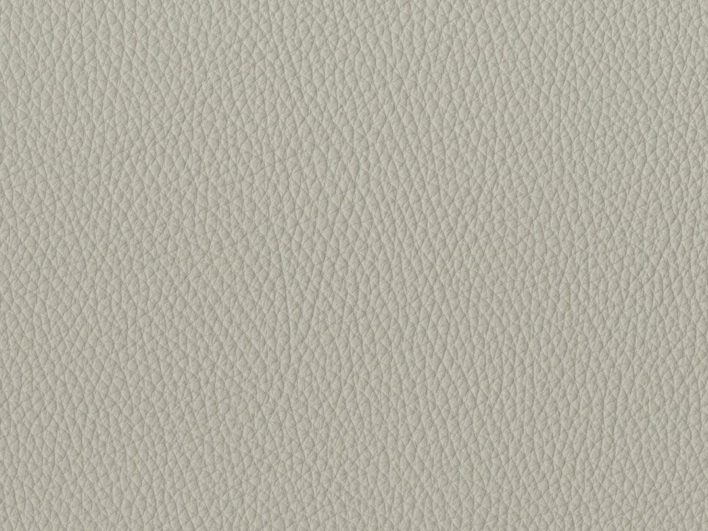 WK_Leder_1416_Rodeo_Soft_quartz_a1c152b1fd