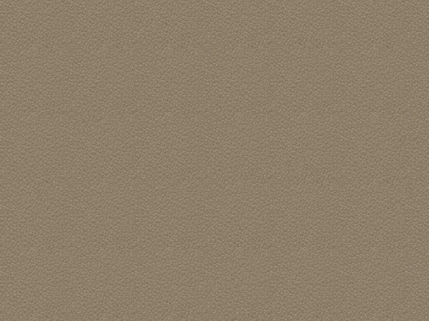 WK_Leder_1418_Rodeo_Soft_morel_3d9015f31c